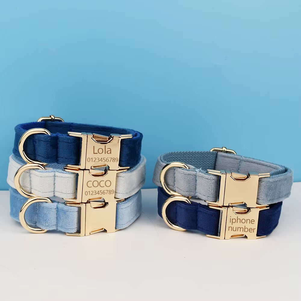 Luxury Dog Leash and Collar ，Retractable Walking Collar for Small and Big Pet .